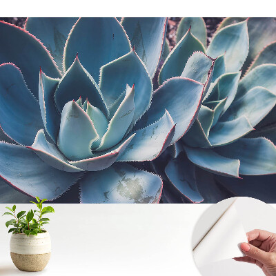 Öntapadós tapéta pozsgás levelek szimmetrikus, minimalista mintájával