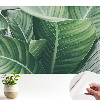 Öntapadós tapéta zöld levelekkel, természetes hangulatot és modern megjelenést kölcsönözve