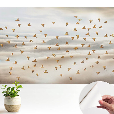 Dekor tapéta Madarak repülnek a felhőkben