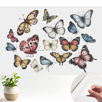 Öntapadó tapéta színes pillangó mintával harmonikusan elrendezve