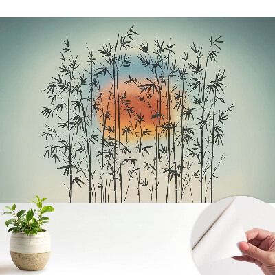 Öntapadós tapéta falra Bambuszrügyek harmonikus naplemente