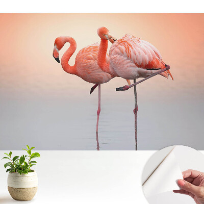Öntapadó tapéta flamingó mintával pasztell háttérrel