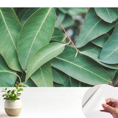 Tapéta zöld levelekkel minimalista stílusú harmóniáért