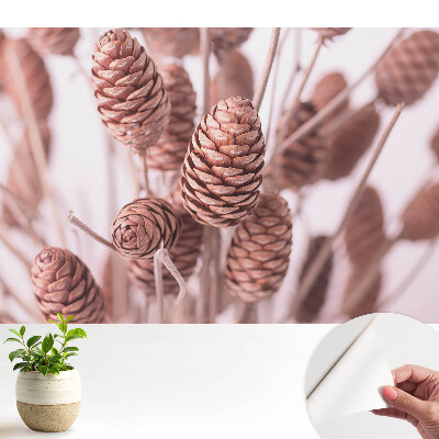 Öntapadó tapéta Fenyőtobozok rusztikus stílusban