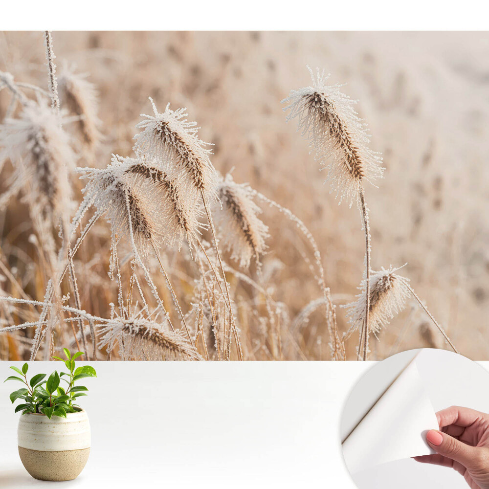 Tapéta Fagy a fűben téli szépség természet