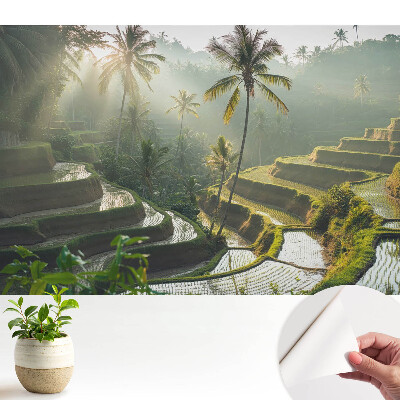 Modern tapéta egzotikus rizsteraszokkal és pálmafákkal