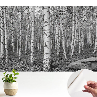 Öntapadós tapéta Nyírerdő, a természet harmóniájának békéje