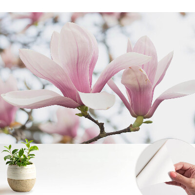 Öntapadó tapéta rózsaszín magnóliákkal romantikus, természetes motívummal
