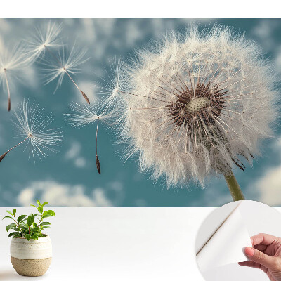 Öntapadó tapéta Pitypang a szélben