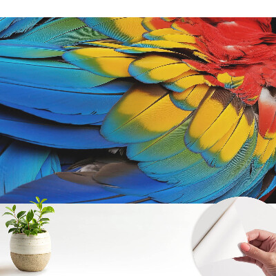 Öntapadós tapéta színes tollak energikus mozaikjával