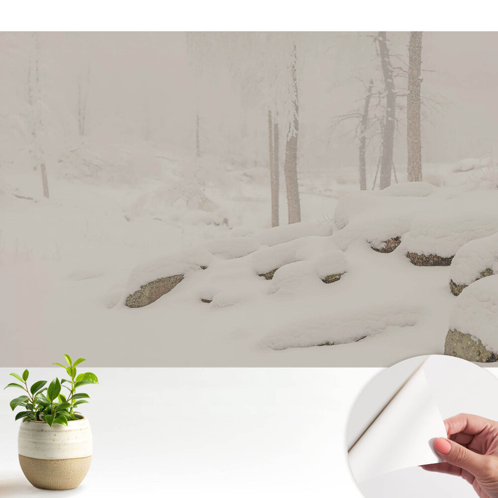 Öntapadós tapéta Téli táj hangulatos erdő