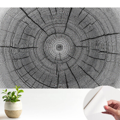 Tapéta szimmetrikus fa körökből álló kompozícióval