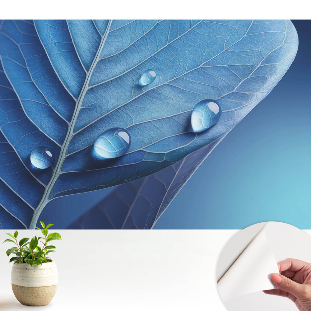 Öntapadós tapéta Absztrakt levél vízcseppekkel