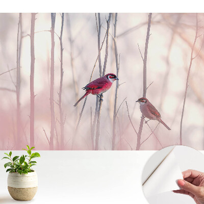 Öntapadós tapéta aranyos madarakkal és rózsaszín erdei motívummal