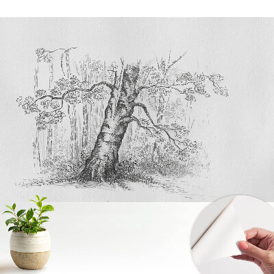 Tapéta fa motívummal az erdőben