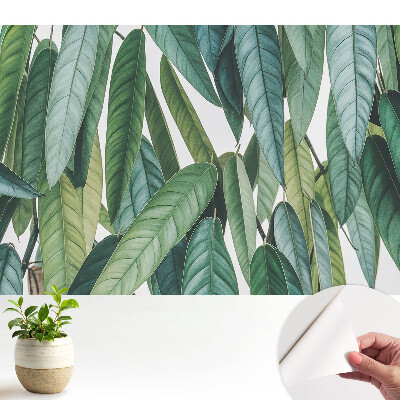Öntapadós tapéta zöld levelekkel a minimalista, természetes hatásért