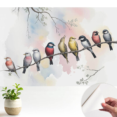 Öntapadó tapéta színes madarakkal egy ágon