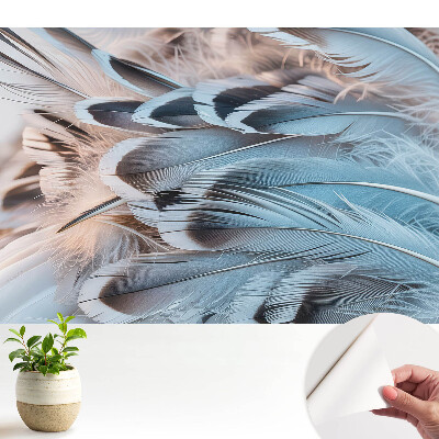 Dekor tapéta Kék tollak harmonikus mintákkal