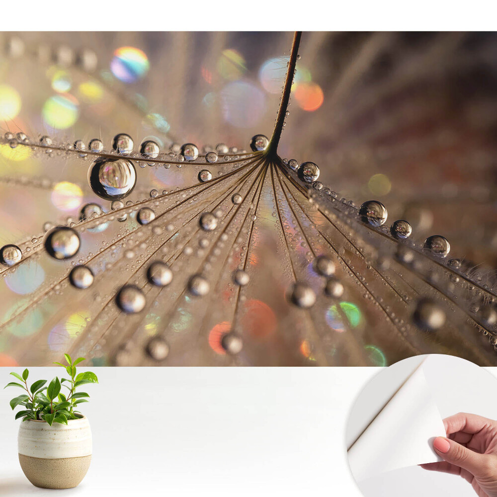 Modern tapéta A háttérben szétszórt cseppek finom szerkezete