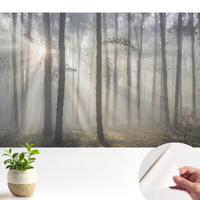 Modern tapéta Reggeli béke a fák között