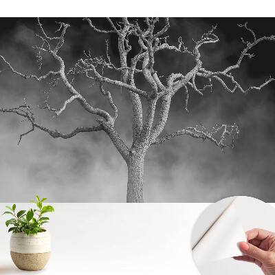 Egy magányos fa a ködben mint tapéta