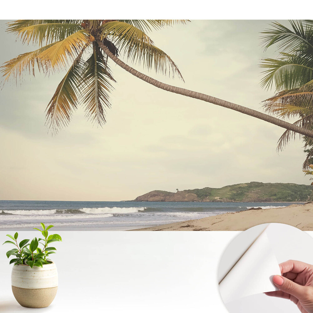 Öntapadós tapéta falra Pálmafa és egzotikus tengerpart