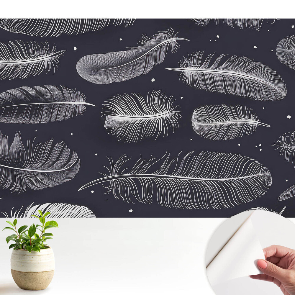Dekor tapéta Tollak sötét háttér előtt