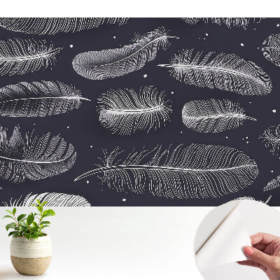 Dekor tapéta Tollak sötét háttér előtt