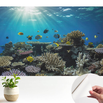 Öntapadós tapéta víz alatti korallokkal és színes halakkal