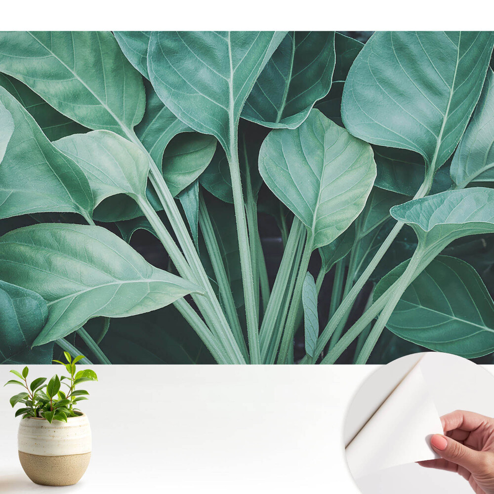 Modern tapéta Zöld levelek természet harmóniája