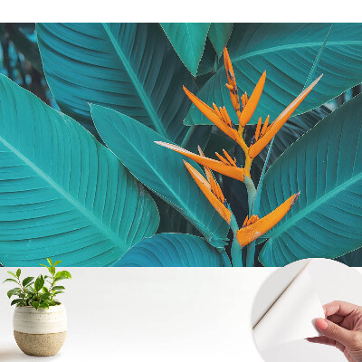 Tapéta egzotikus növényi mintával