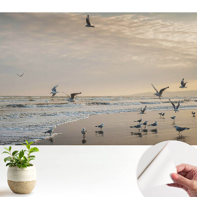 Öntapadó tapéta sirályokkal a tengerparton naplementekor