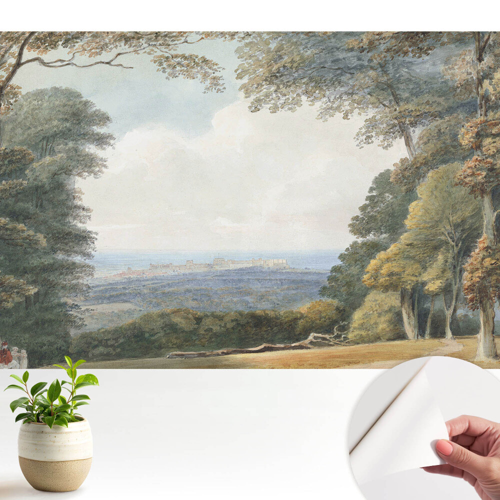 Öntapadós tapéta Tájkép az erdő közelében, kilátás a városra