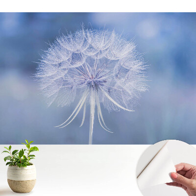 Öntapadós tapéta Pitypang kék árnyalatokban