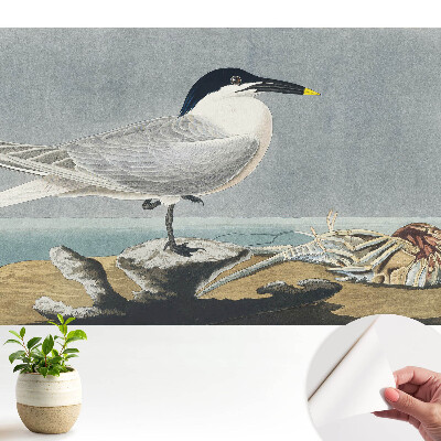 Öntapadós tapéta: egy elegáns madár a tenger hátterében