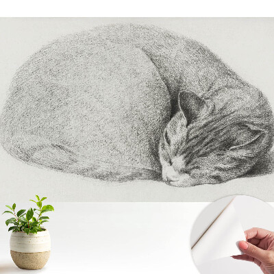 Öntapadós tapéta valósághű alvó macska mintával