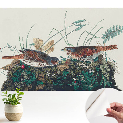 Öntapadós tapéta madár- és zöldnövény-motívummal a falra