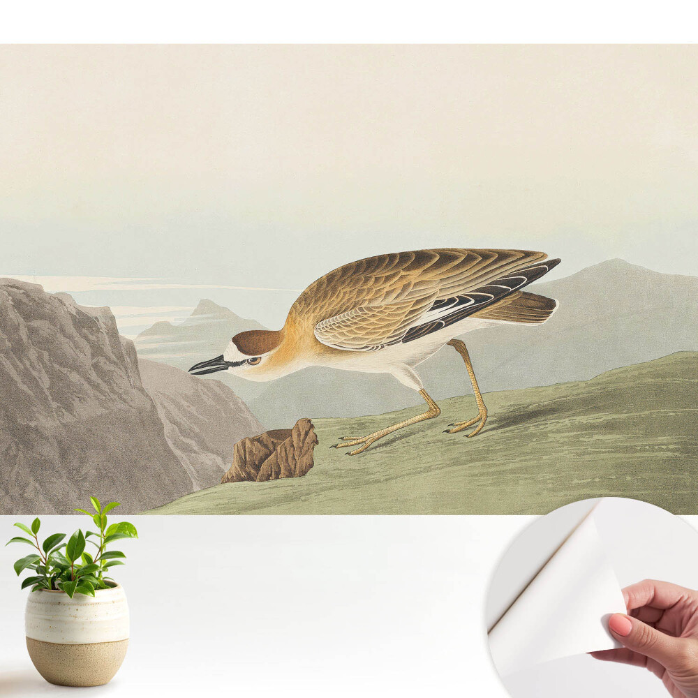 Modern tapéta Egy madár a hegyoldalban