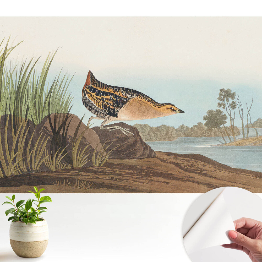 Dekor tapéta Egy madár a víz felett klasszikus stílusban