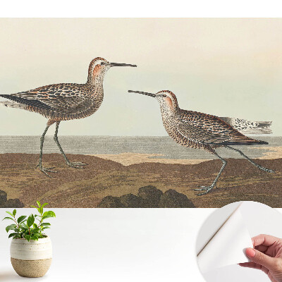 Öntapadó tapéta két madárral a tengerparti motívummal