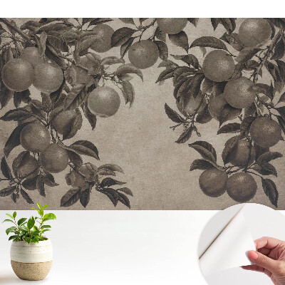 Öntapadós tapéta fekete-fehér retro gyümölcsmintával vintage stílusban