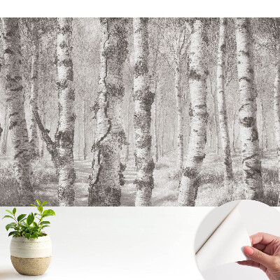 Modern tapéta nyírfákkal egy klasszikus erdei motívumban