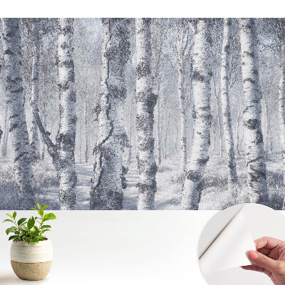 Dekor tapéta Téli nyírfaerdő