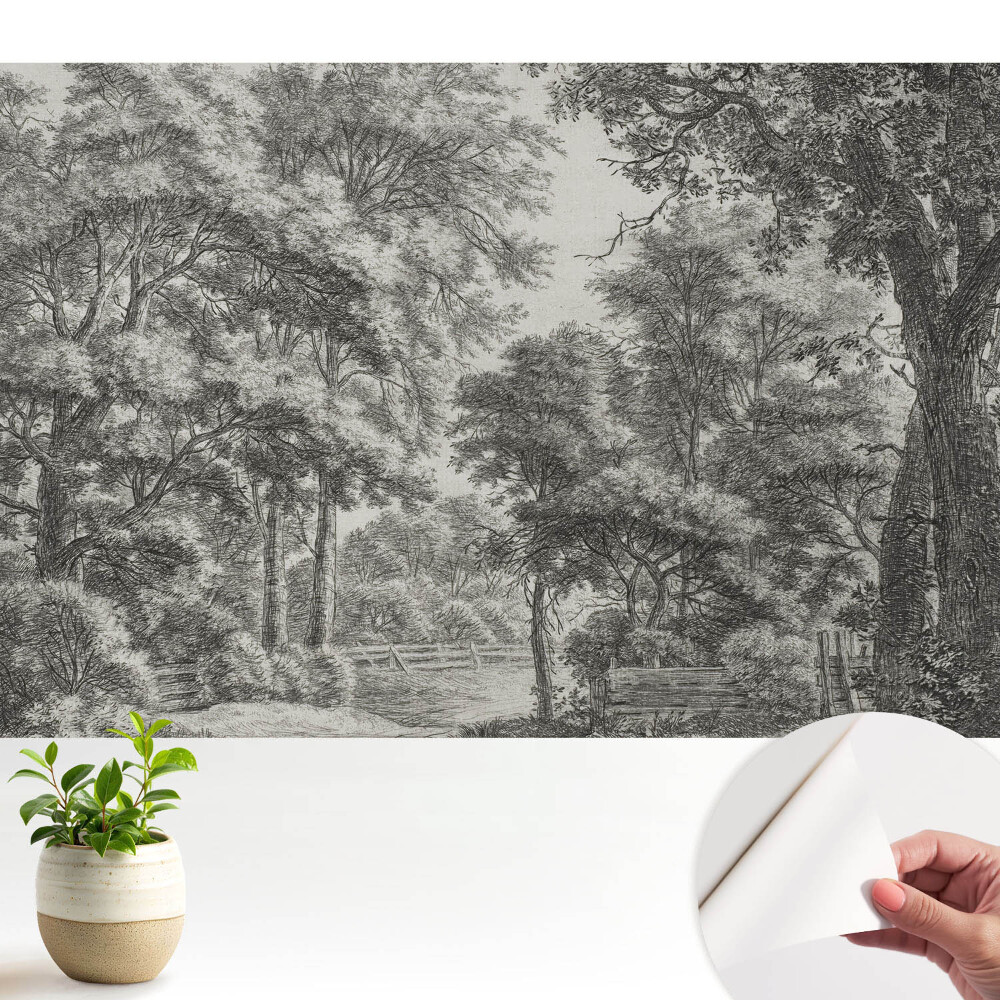 Öntapadó tapéta Klasszikus erdei táj, harmónia és béke