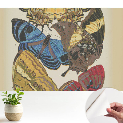 Modern tapéta színes pillangómintával elegáns kompozícióban