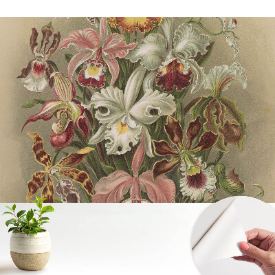 Dekor tapéta Egzotikus virágok harmóniája a természetben