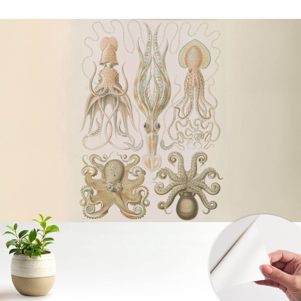 Öntapadó tapéta Tengeri lábasfejűek részleteinek harmóniája