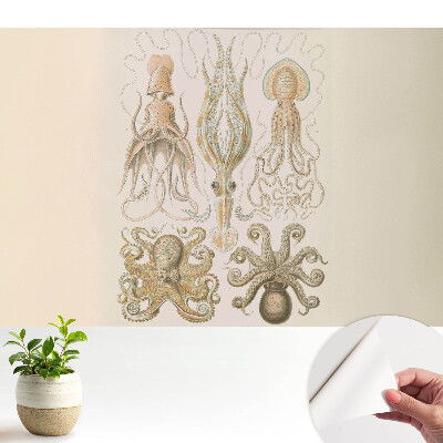 Öntapadó tapéta a tengeri lábasfejűek részleteinek harmonikus mintázatával