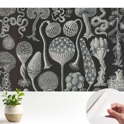 Modern tapéta fantasztikus organikus formákkal fekete‑fehér kivitelben