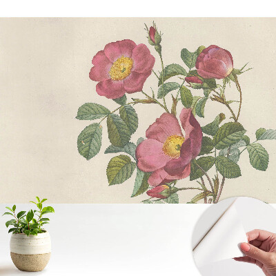 Dekor tapéta vadrózsákkal klasszikus kompozícióban